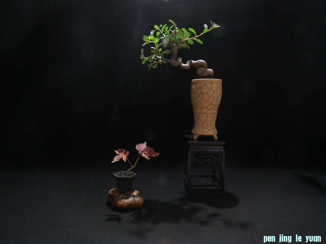 DSCF6084.JPG