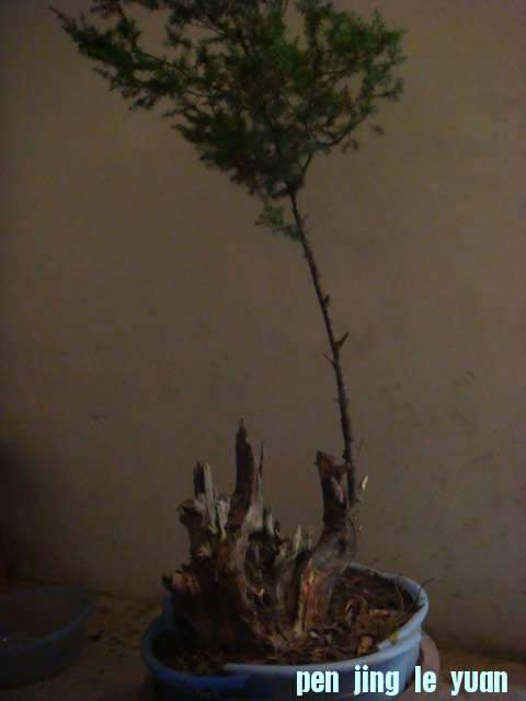DSC02962.JPG
