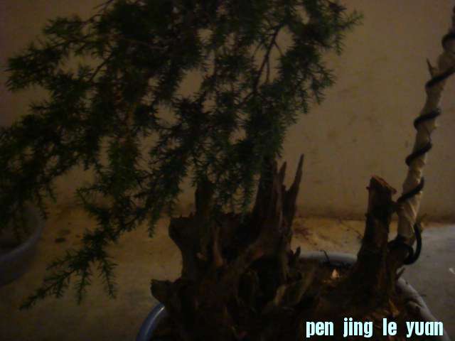 DSC02964.JPG