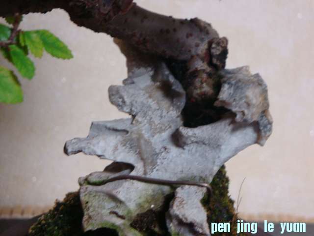 DSC00847.JPG