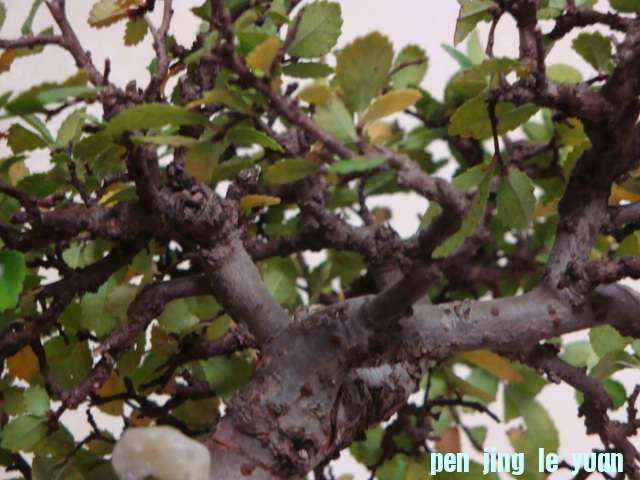 DSC00848.JPG
