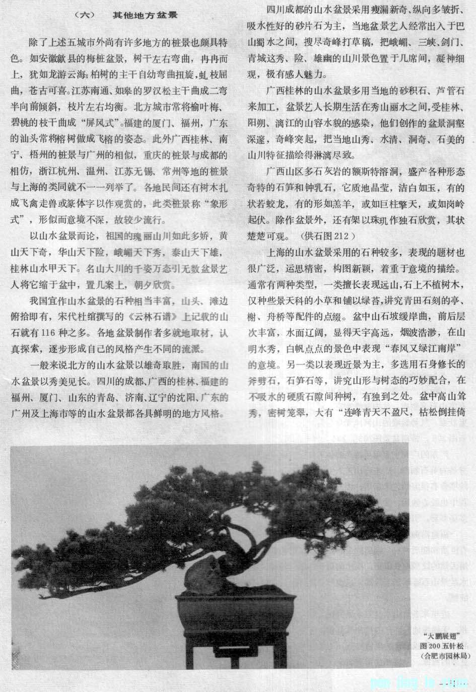 63й辰о.jpg