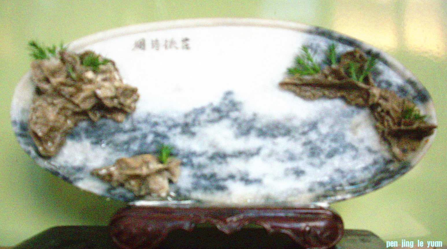 DSCI0379_.jpg