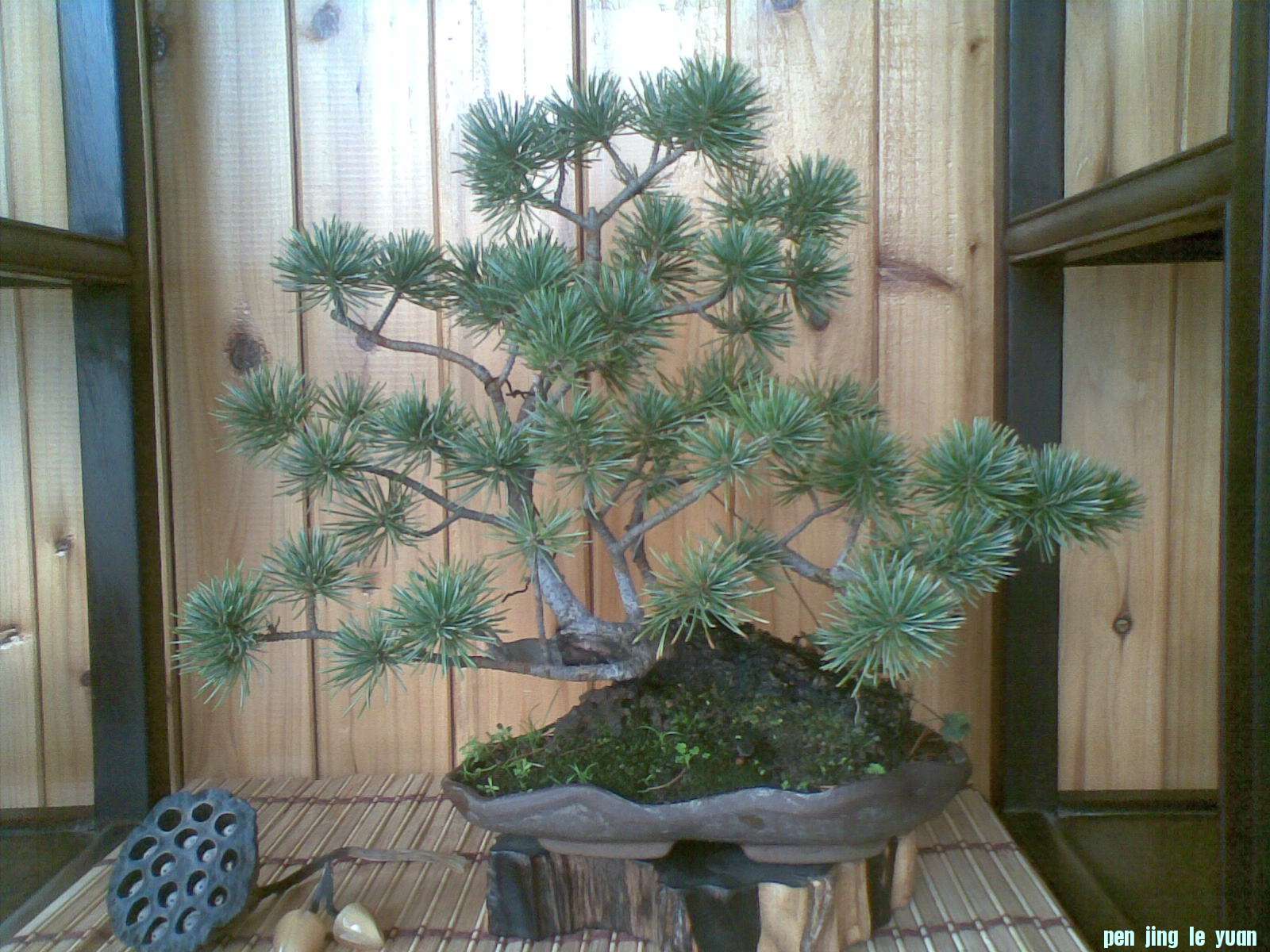 20121025(001).jpg