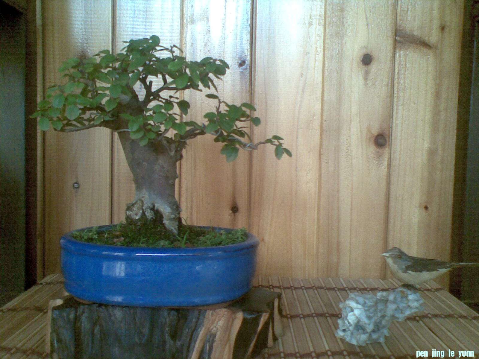20121023(002).jpg
