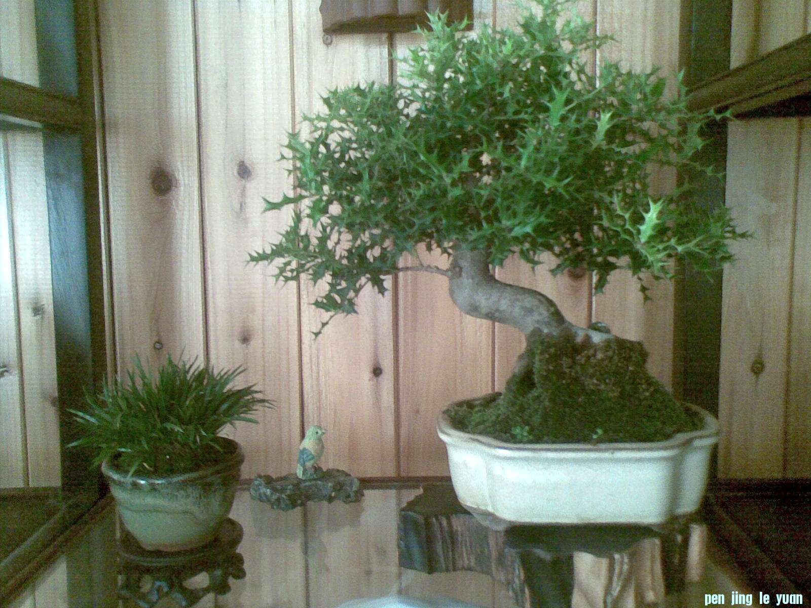 20121014.jpg