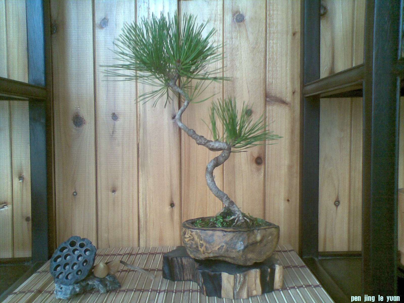 20121025.jpg