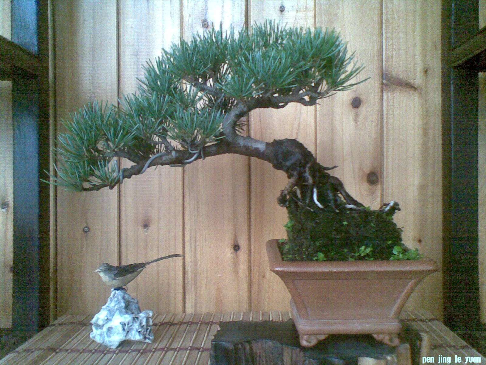 20121027(002).jpg