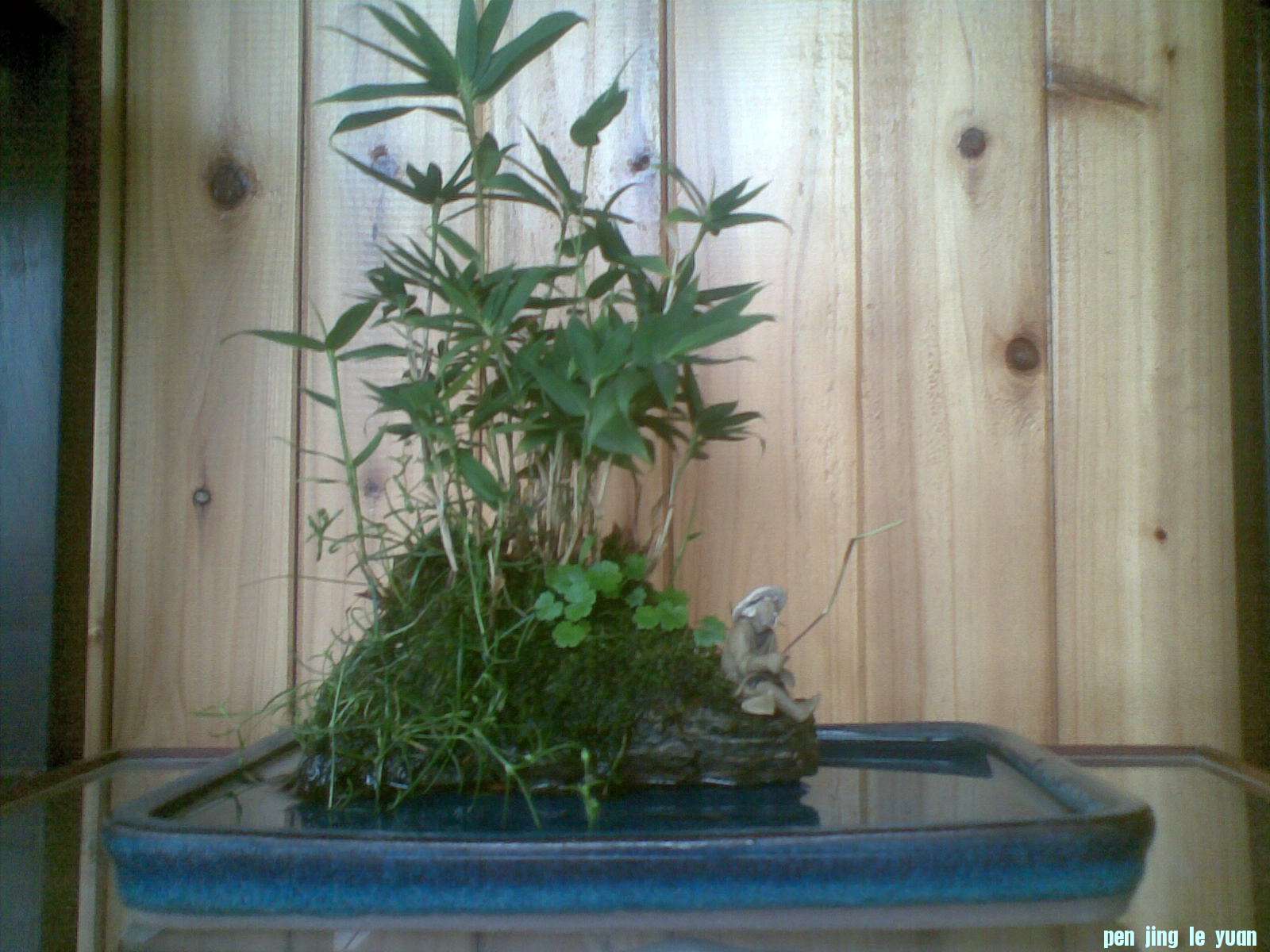 20120617.jpg