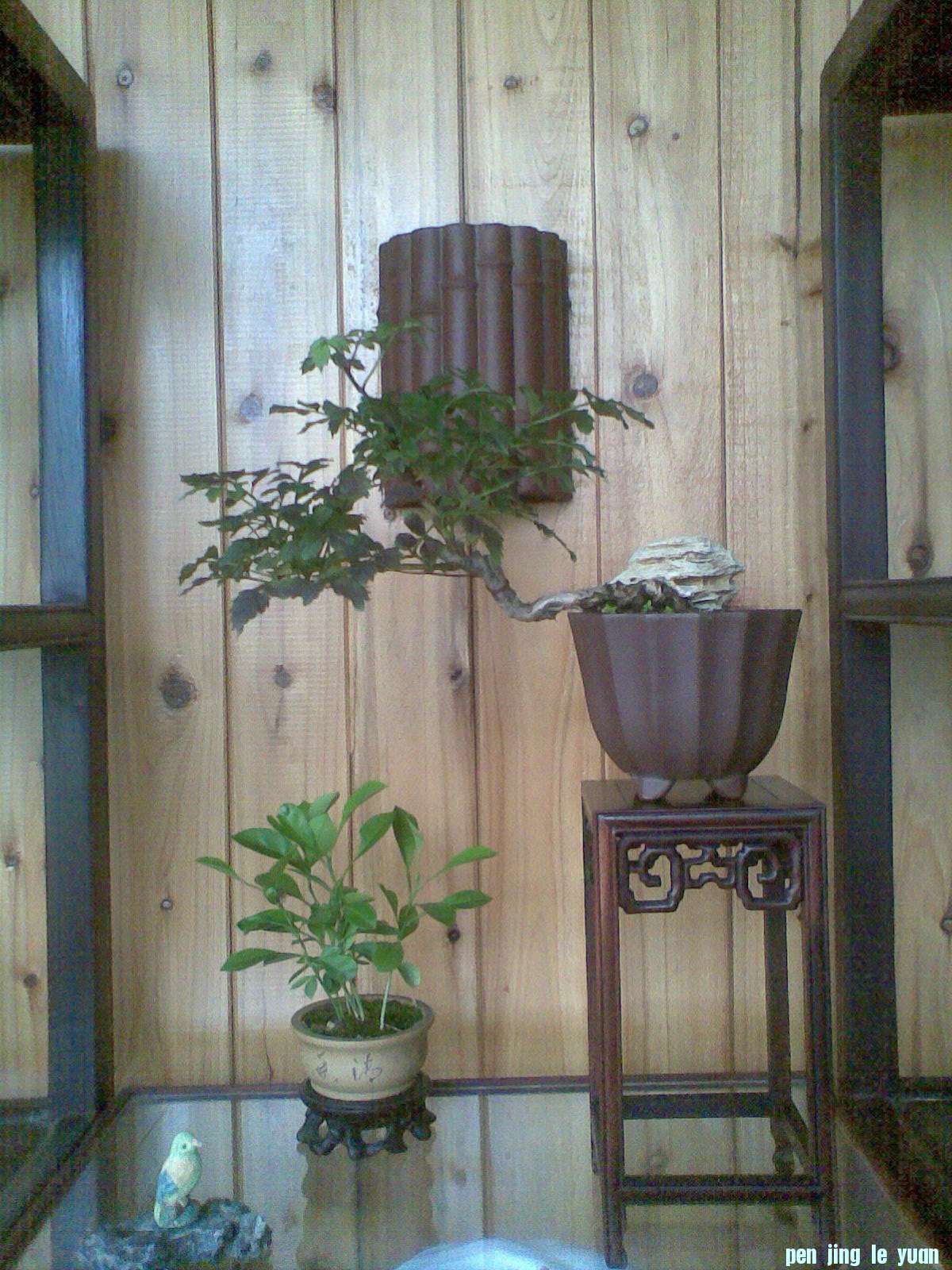 20120923(009).jpg