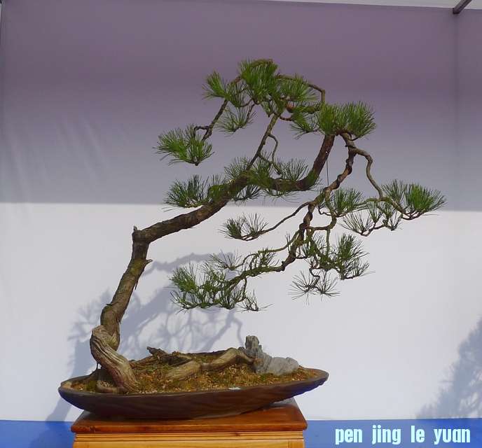P1010215.JPG