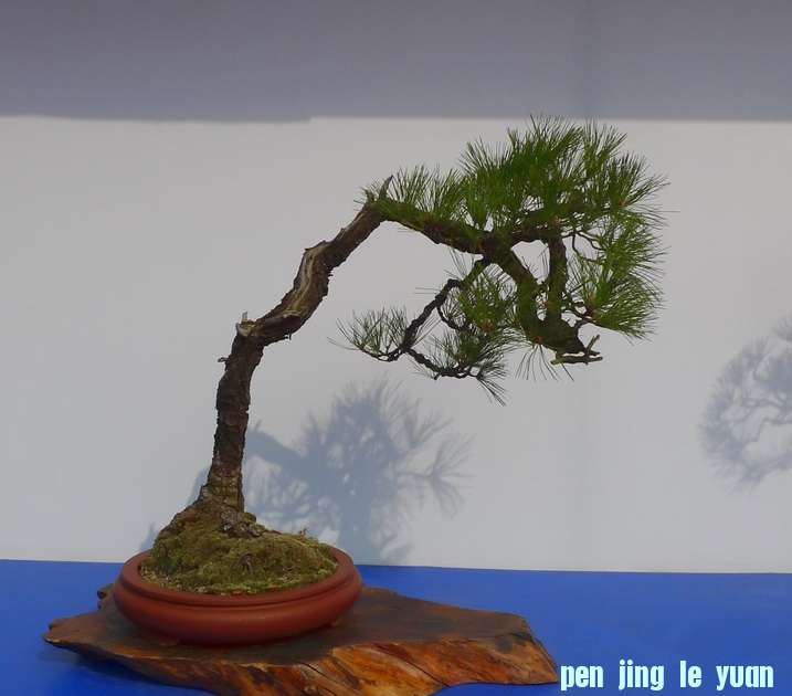 P1010217.JPG