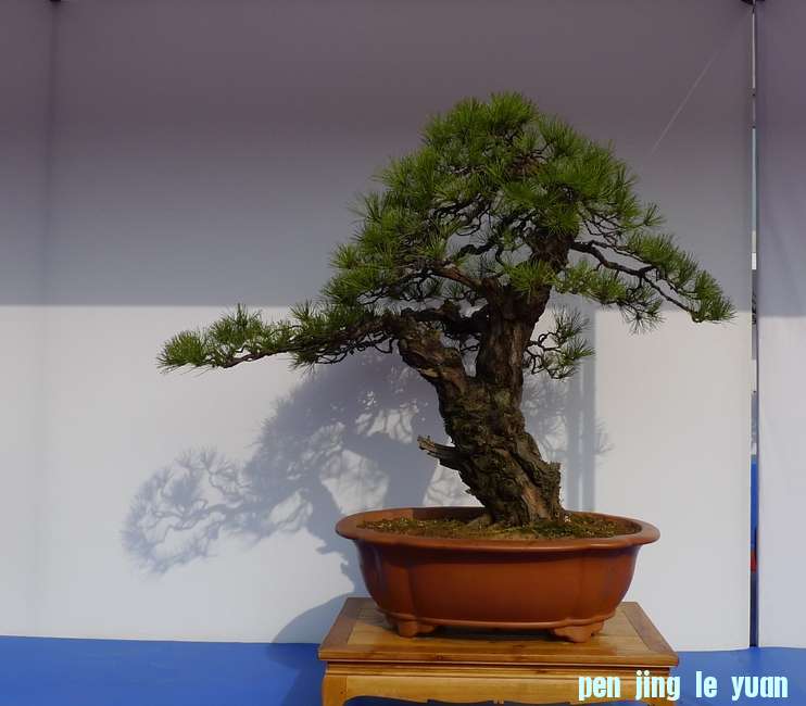 P1010216.JPG