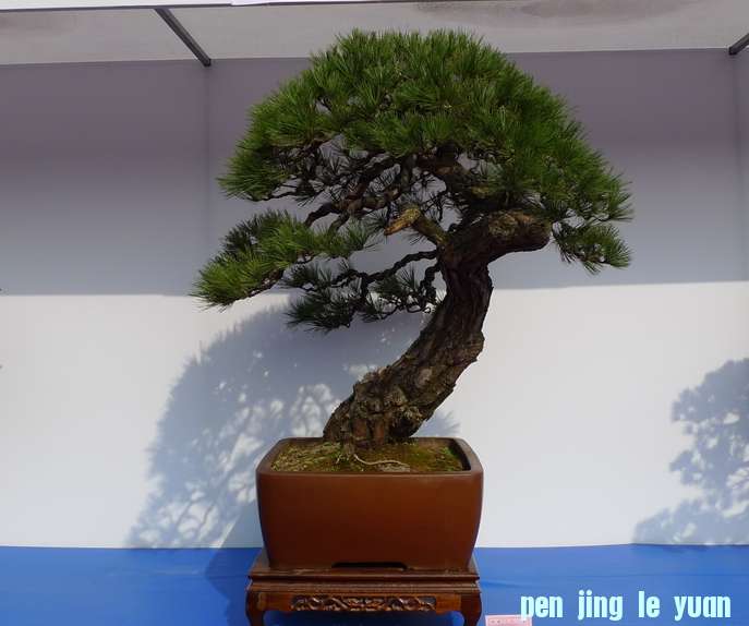 P1010241.JPG