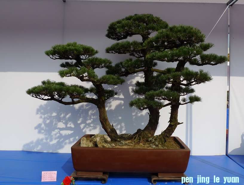 P1010240.JPG