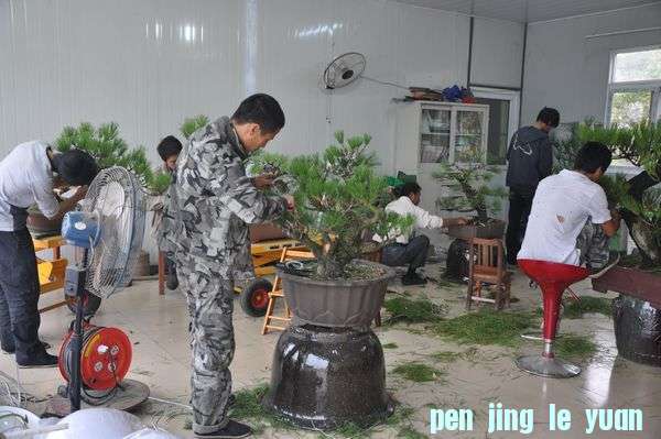 �ҵ��辰 0.jpg