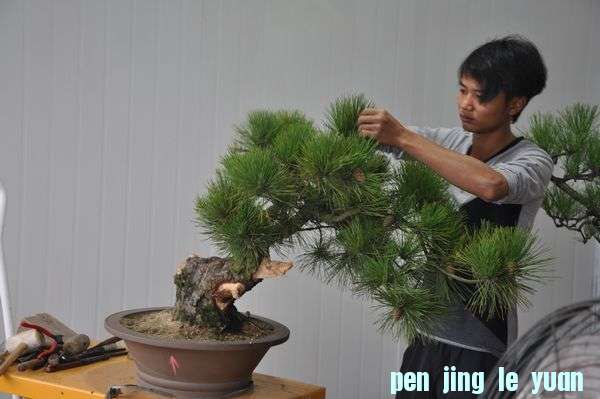 �ҵ��辰 1.jpg