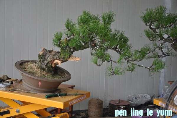 �ҵ��辰 2.jpg