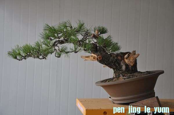 �ҵ��辰 4.jpg