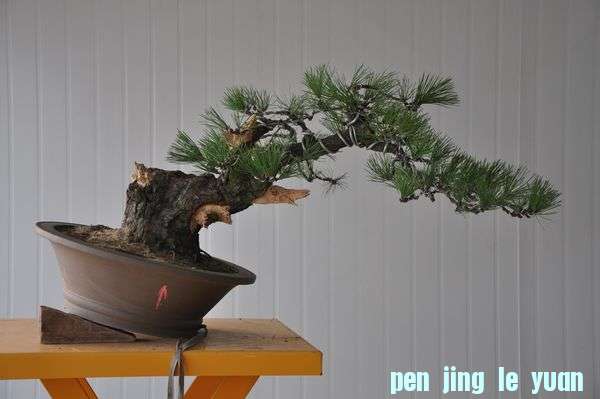 �ҵ��辰 3.jpg