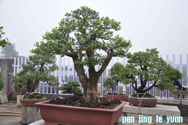 ҵ辰 063.jpg