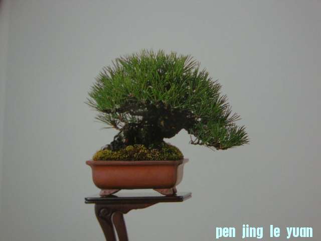 DSC09560.JPG