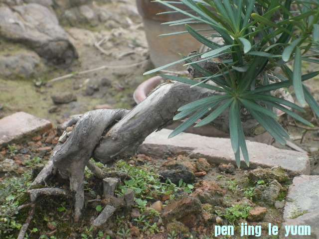 P1000260.JPG