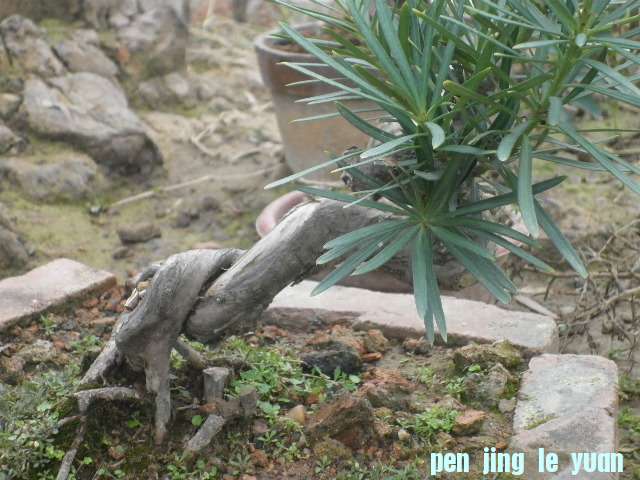 P1000261.JPG