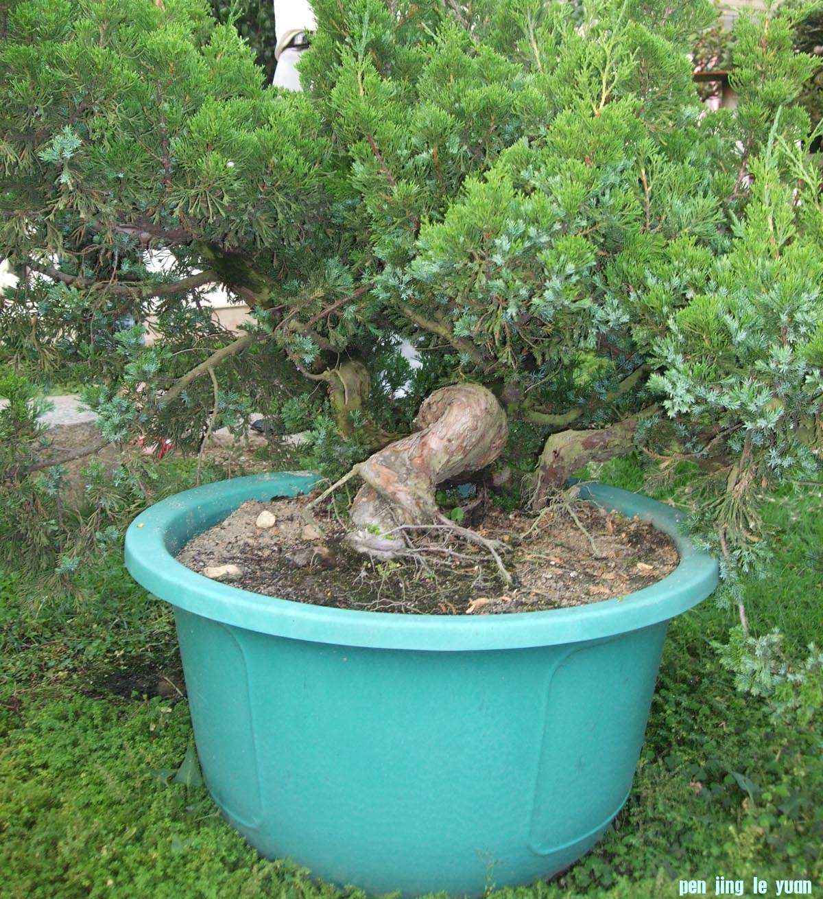 DSCF1051.jpg
