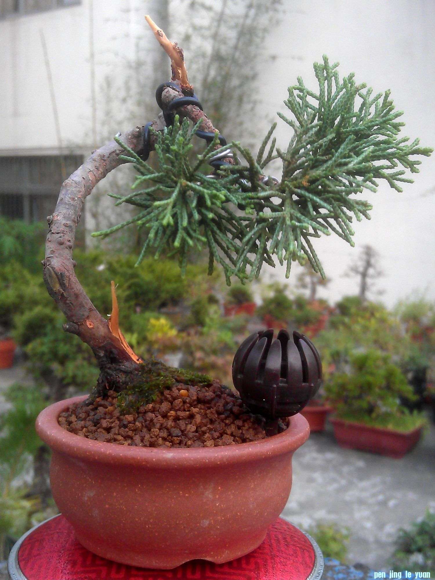 IMAG0213.jpg
