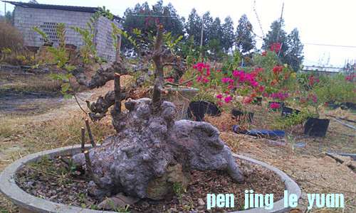 IMAG0498_.jpg