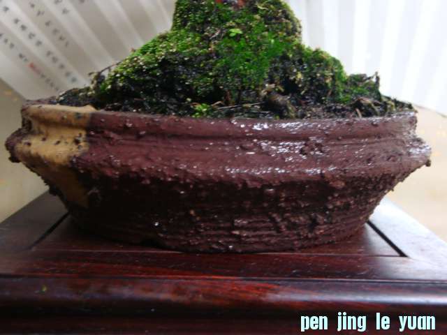DSC00885.JPG