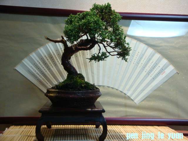DSC00881.JPG
