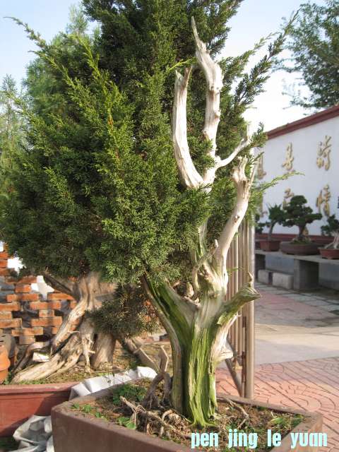 IMG_6490.JPG