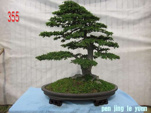 ⰻȻ     110賤80.jpg