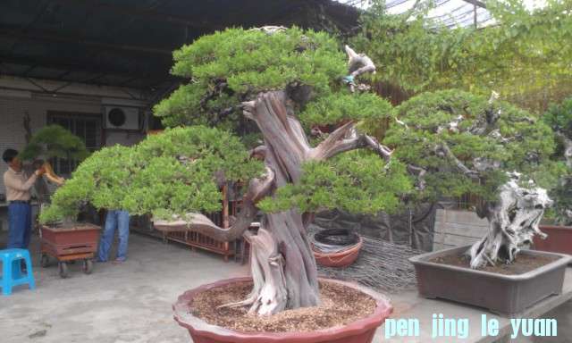 IMAG0493.jpg