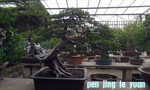 IMAG0491_.jpg