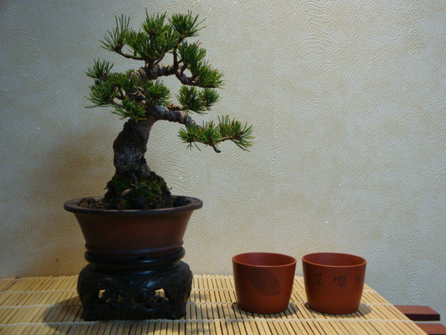 DSC00893.JPG
