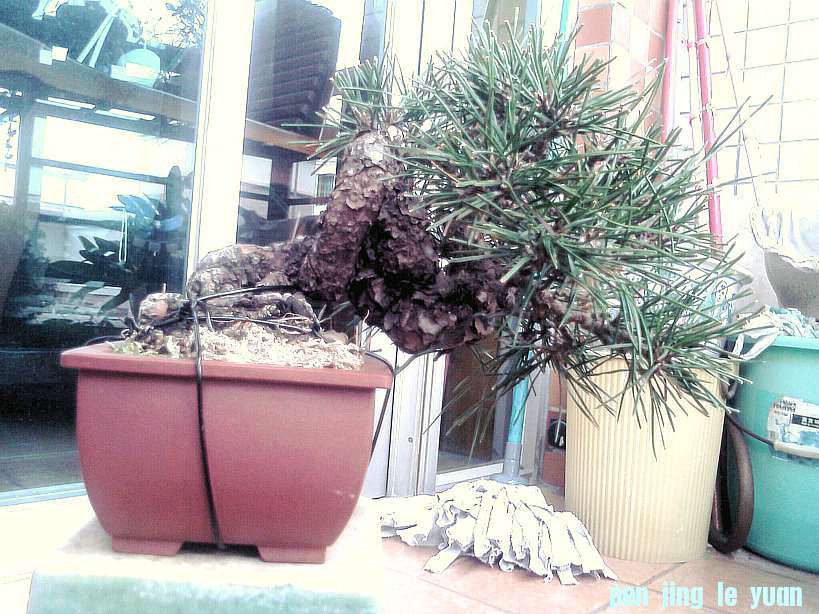 IMG1024141700.jpg
