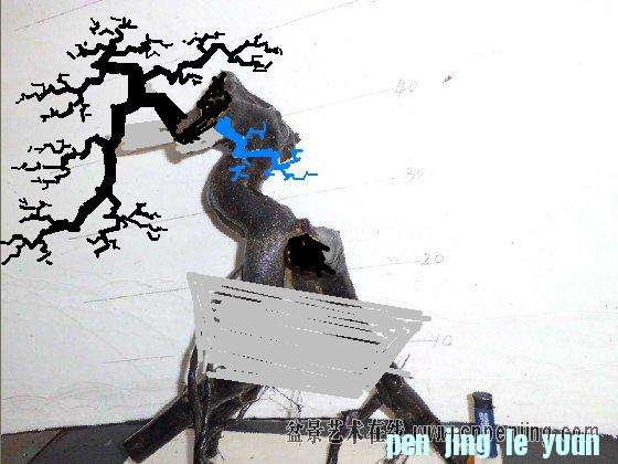 0659111i8jbgthvxpgtp5gͼ.JPG