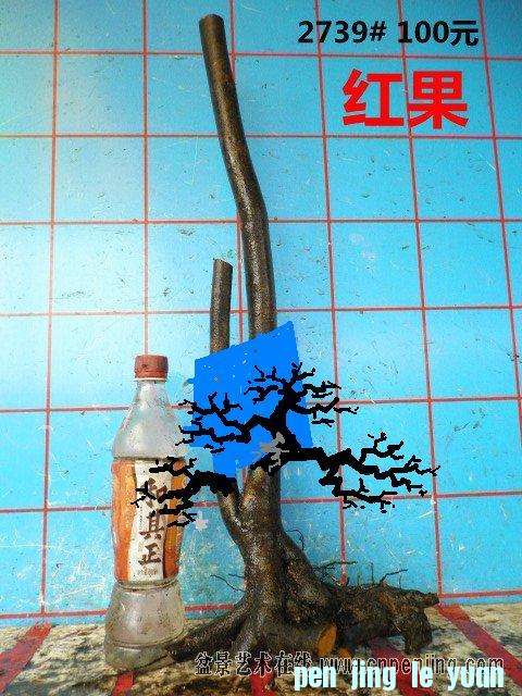 155745lxbk2p7qb2qb7urpƸ壩.JPG