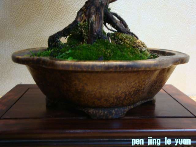 DSC00905.JPG