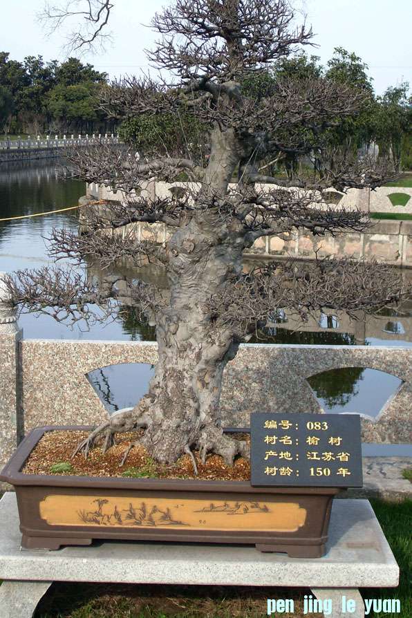 10150꣨6.jpg