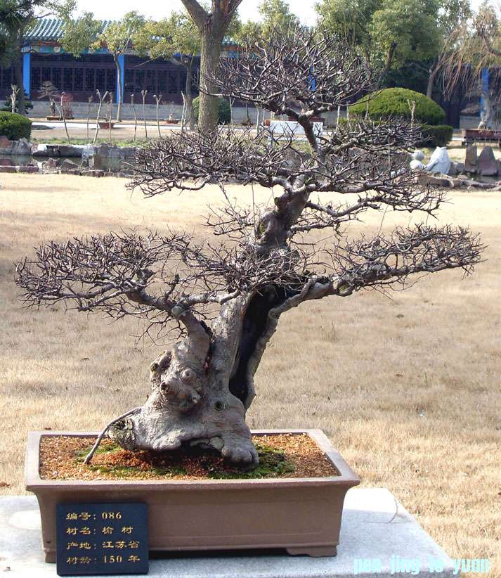 11150꣨5.jpg