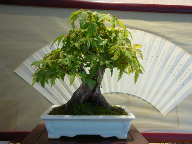 DSC00876.JPG