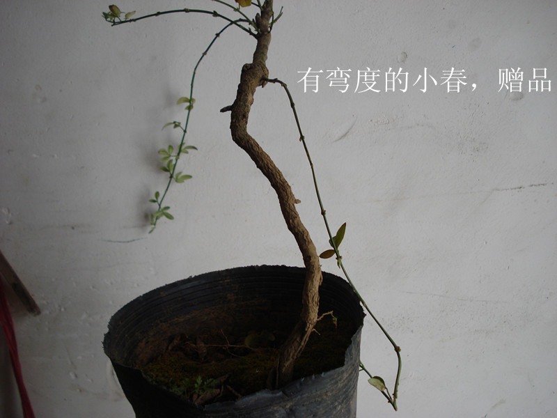 DSC03726_.jpg