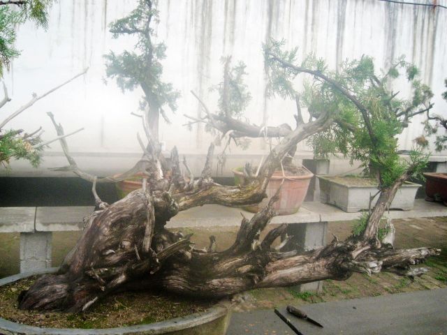 83.jpg