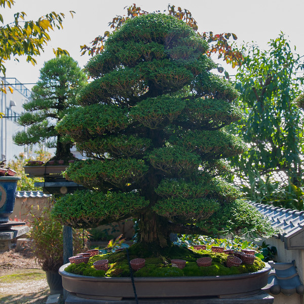 20111027-DSC_0021-L.jpg