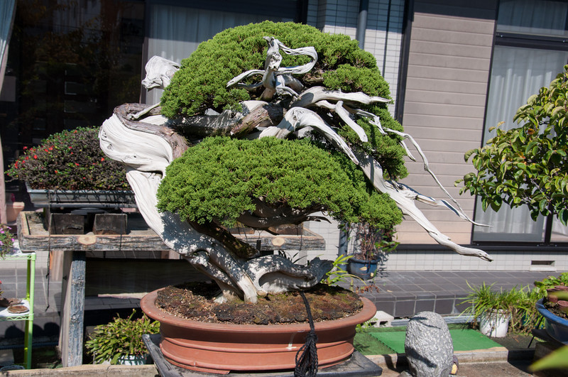 20111027-DSC_0056-L.jpg