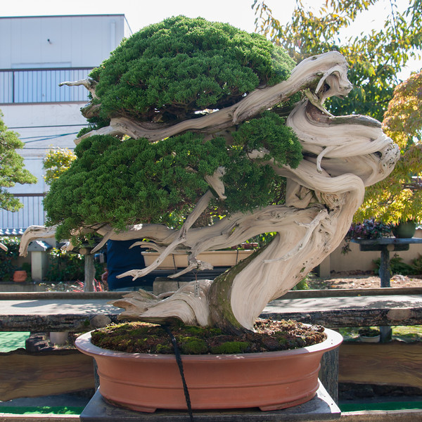 20111027-DSC_0058-L.jpg